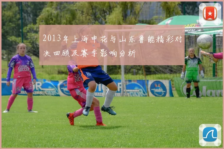 2013年上海申花与山东鲁能精彩对决回顾及赛季影响分析