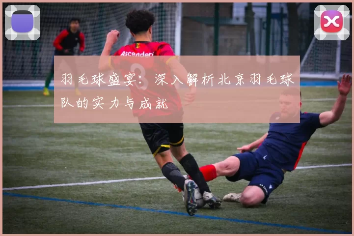 羽毛球盛宴：深入解析北京羽毛球队的实力与成就