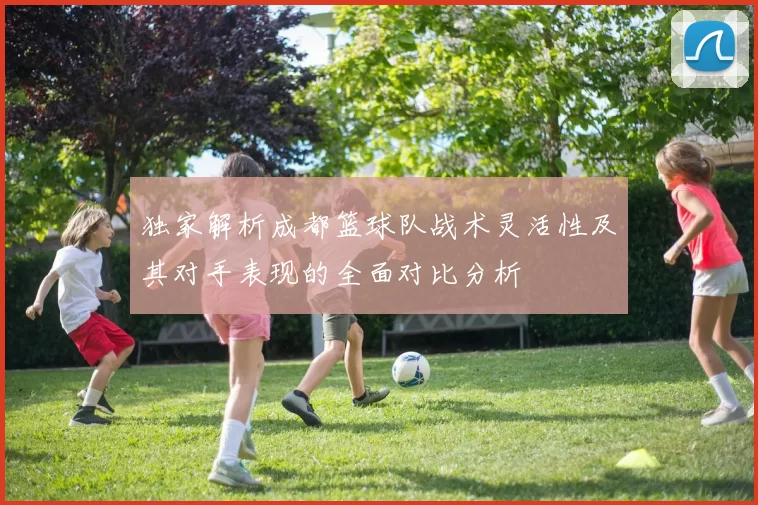 独家解析成都篮球队战术灵活性及其对手表现的全面对比分析