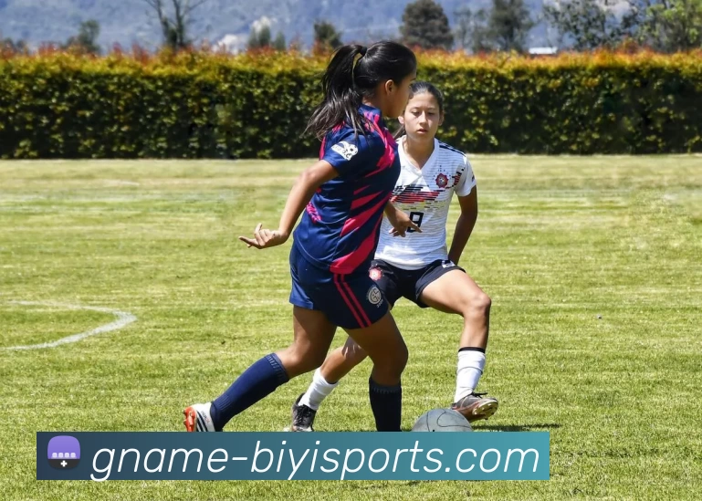 App Interface Preview